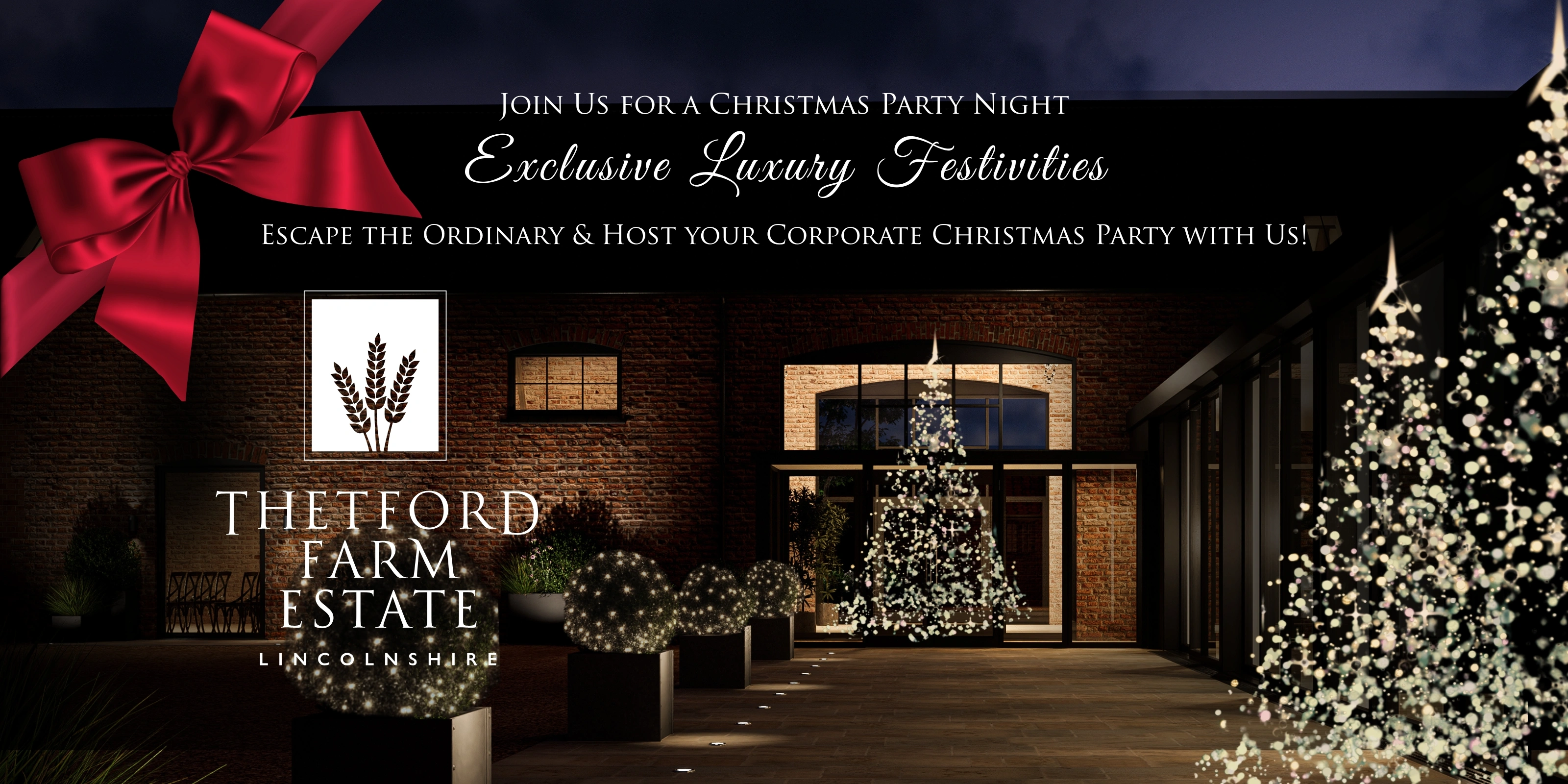 Join us this Christamas (980 x 784px) Luxury Christmas Party Scene