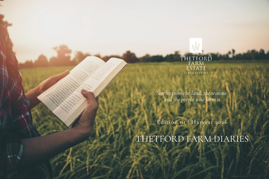 Thetford Farm Diaries ~ Harvest 2026